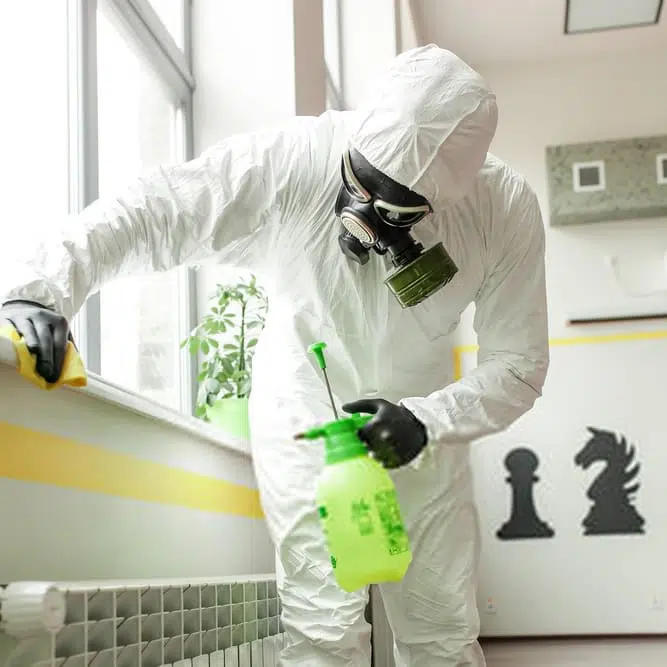 Technician performing deep cleaning and covid cleaning